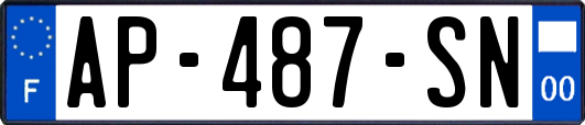AP-487-SN