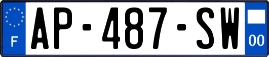 AP-487-SW