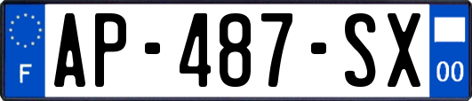 AP-487-SX