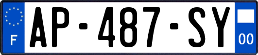AP-487-SY