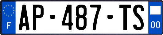 AP-487-TS