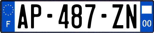 AP-487-ZN
