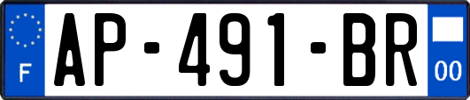 AP-491-BR