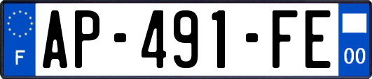 AP-491-FE
