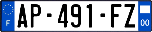 AP-491-FZ