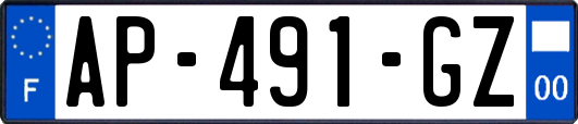AP-491-GZ