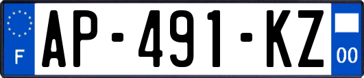 AP-491-KZ