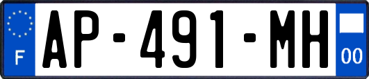 AP-491-MH