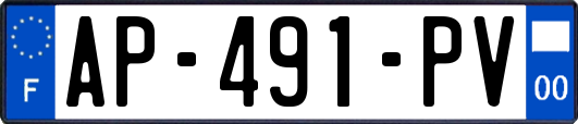 AP-491-PV