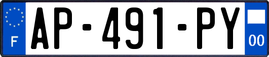 AP-491-PY