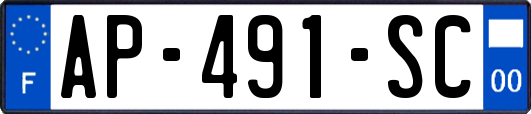 AP-491-SC