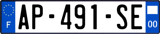 AP-491-SE