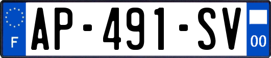 AP-491-SV
