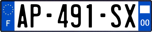 AP-491-SX