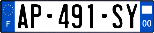 AP-491-SY