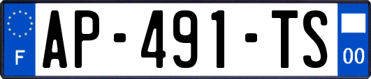 AP-491-TS