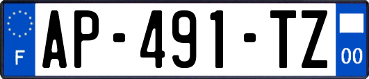 AP-491-TZ
