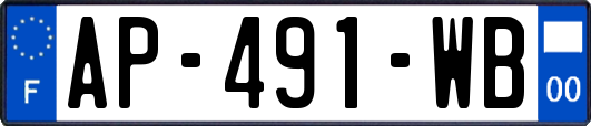 AP-491-WB