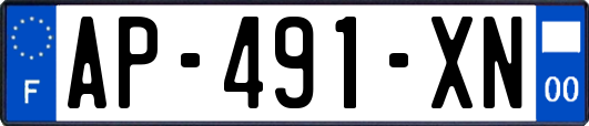 AP-491-XN