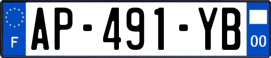 AP-491-YB