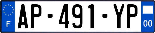 AP-491-YP