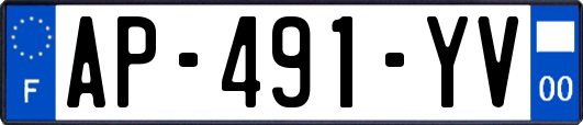 AP-491-YV