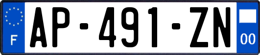 AP-491-ZN