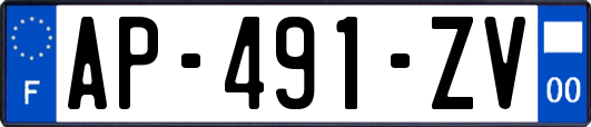 AP-491-ZV