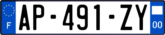 AP-491-ZY