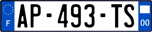 AP-493-TS