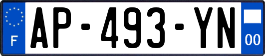 AP-493-YN