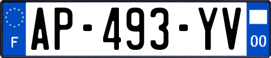 AP-493-YV