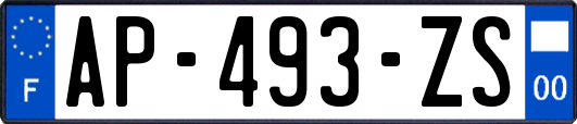 AP-493-ZS