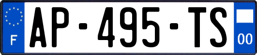 AP-495-TS
