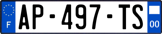 AP-497-TS