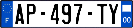 AP-497-TY