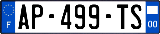 AP-499-TS