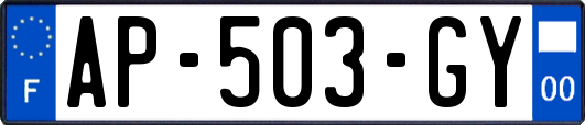 AP-503-GY