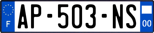 AP-503-NS