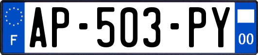 AP-503-PY