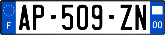 AP-509-ZN