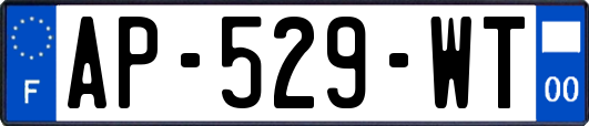 AP-529-WT