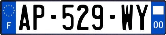 AP-529-WY