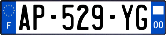 AP-529-YG