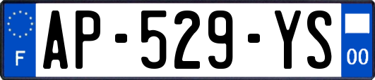 AP-529-YS
