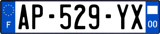 AP-529-YX