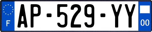 AP-529-YY