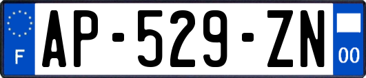 AP-529-ZN