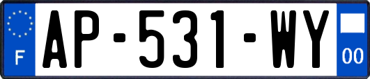 AP-531-WY