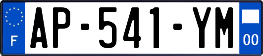 AP-541-YM